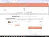 SPRING20 coupon verification screenshot