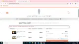 SUMMER20 coupon verification screenshot