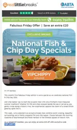 VIPCHIPPY coupon verification screenshot