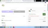 SPRING15 coupon verification screenshot