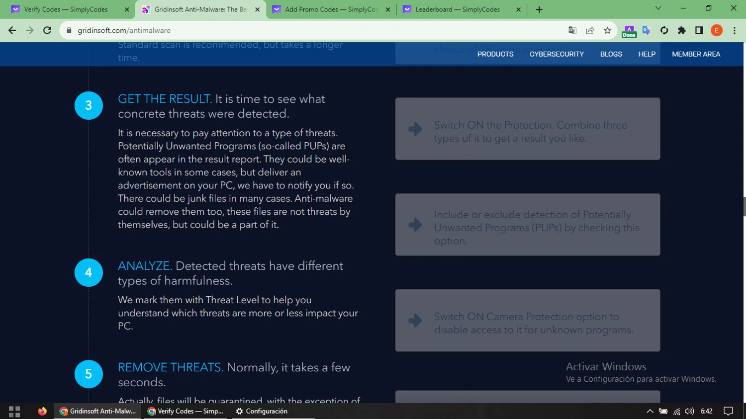 where to use GridinSoft promo code box