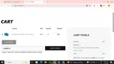 AUDREY10 coupon verification screenshot