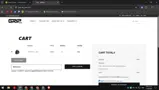 WORLDS10 coupon verification screenshot