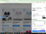 PALUMBO10 coupon verification screenshot