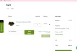 BLACKFRIDAY coupon verification screenshot