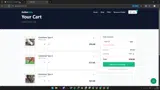 FREESHIP coupon verification screenshot