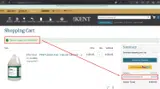 CELEBRATE10 coupon verification screenshot