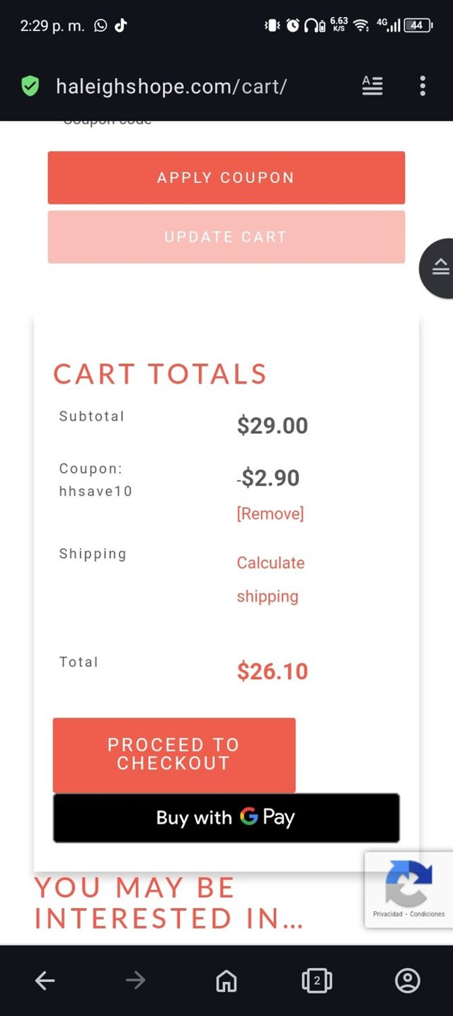 Haleigh's Hope checkout page showing Haleigh's Hope promo code box | Screenshot taken by SimplyCodes community member on Jan 29, 2025