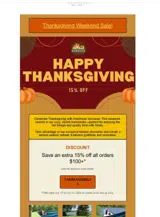 THANKSGIVING25 coupon verification screenshot