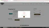 Hankey's Toys coupon verification screenshot