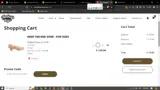 Hankey's Toys coupon verification screenshot