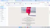 Hansine coupon verification screenshot
