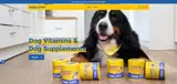 ILOVEHAPPYPAWS coupon verification screenshot