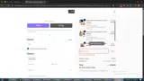 StevieLynn coupon verification screenshot