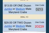 DZ13 coupon verification screenshot