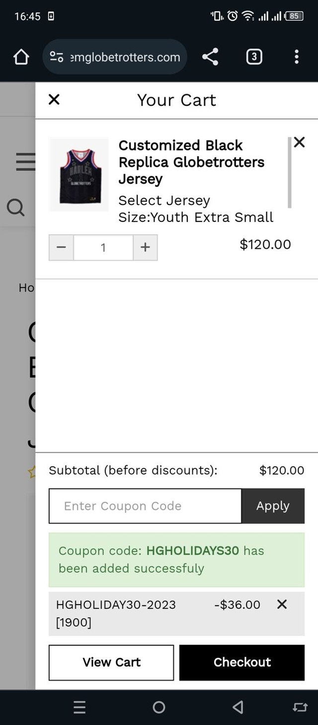 Harlem Globetrotters checkout page showing Harlem Globetrotters promo code box | Screenshot taken by SimplyCodes community member on Jan 20, 2024