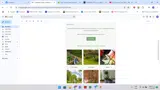 Harrod Horticultural coupon verification screenshot