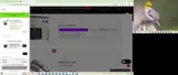 dbfree coupon verification screenshot