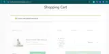 SAVE25 coupon verification screenshot