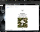 Heart Coffee Roasters coupon verification screenshot