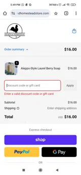 LABORDAY coupon verification screenshot