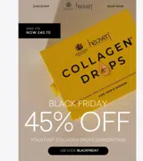 BLACKFRIDAY coupon verification screenshot