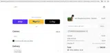 PRINCESSCHELSEAALANA coupon verification screenshot