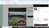 JULY4TH10OFF coupon verification screenshot