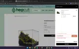 JULY4TH10OFF coupon verification screenshot