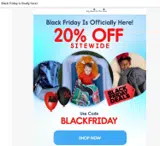 BLACKFRIDAY coupon verification screenshot