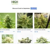 High Supplies coupon verification screenshot