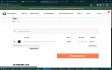 SUMMER25 coupon verification screenshot