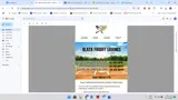 HittingWorld coupon verification screenshot
