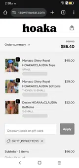BRITT_PICHETTE10 coupon verification screenshot