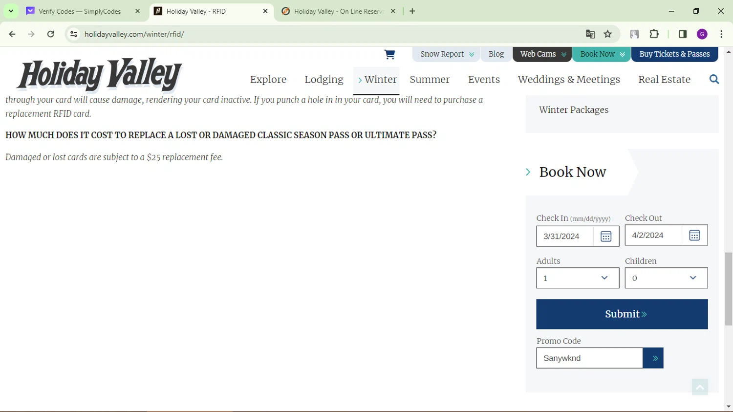 Holiday Valley checkout page showing Holiday Valley promo code box | Screenshot taken by SimplyCodes community member on Mar 27, 2024