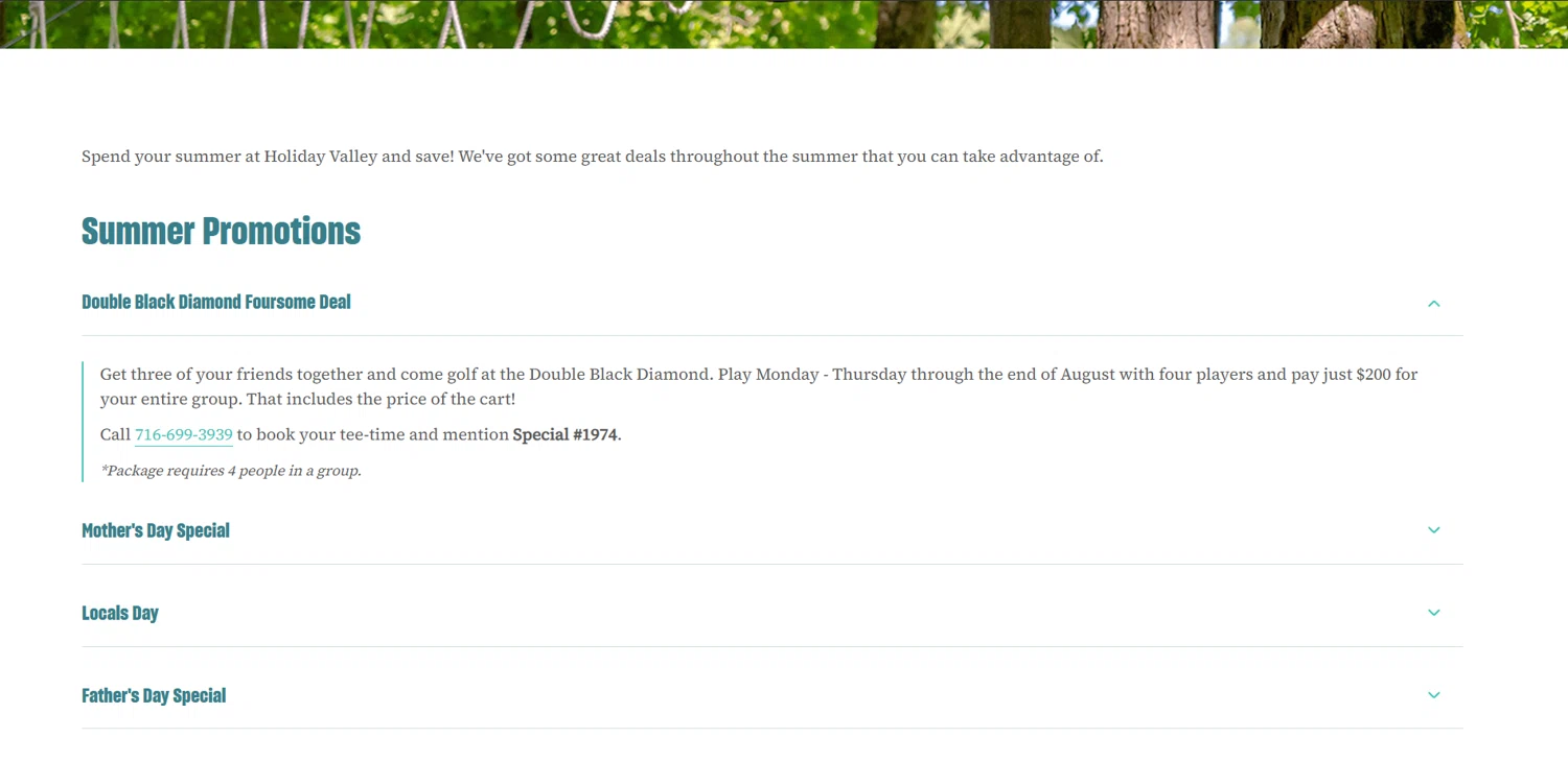 Holiday Valley checkout page showing Holiday Valley promo code box | Screenshot taken by SimplyCodes community member on Nov 3, 2025