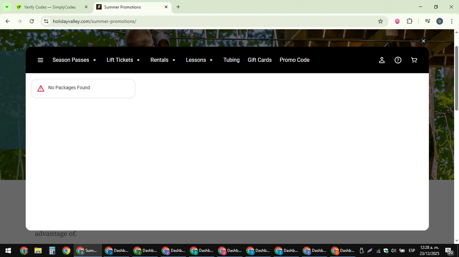 Holiday Valley promo code screenshot showing code Special#1974 applied at Holiday Valley checkout page. Uploaded by SimplyCodes community member gabinharris55 on Dec 23, 2025