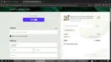 Holistic Energy Flow coupon verification screenshot