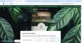 Holistic Energy Flow coupon verification screenshot