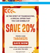 Hollywood Diet coupon verification screenshot