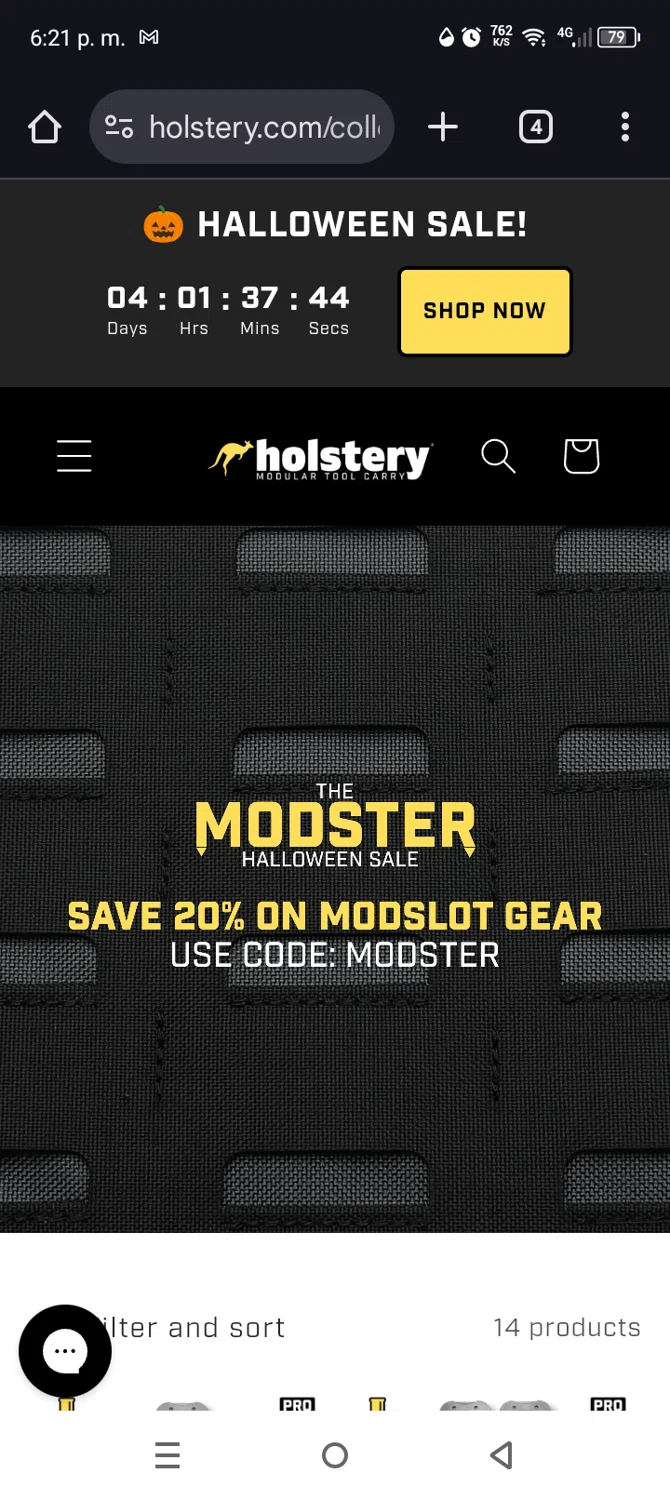 Holstery discount code screenshot showing code Modster applied at Holstery checkout page. Uploaded by SimplyCodes community member Mdeoca on Oct 29, 2025