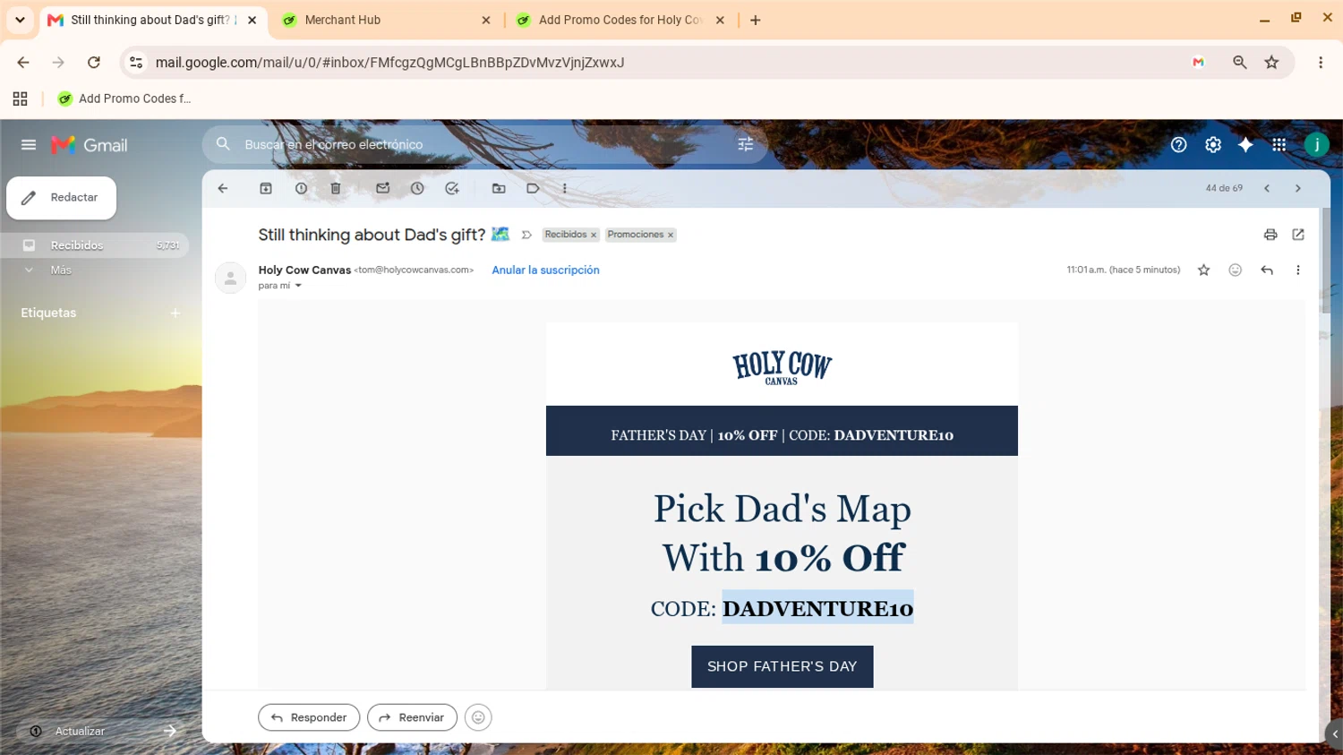 Holy Cow Canvas promo code screenshot showing code DADVENTURE10 applied at Holy Cow Canvas checkout page. Uploaded by SimplyCodes community member yennifergonzalez on Jun 2, 2026