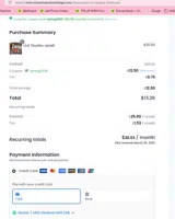 SPRING2025 coupon verification screenshot