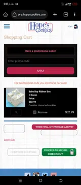 SUMMER25 coupon verification screenshot