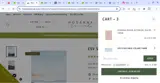 allyyost coupon verification screenshot