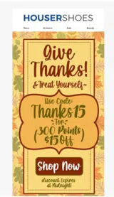 thanks15 coupon verification screenshot