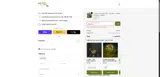 SPRING15 coupon verification screenshot