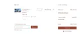 SAVEMORE500$ coupon verification screenshot