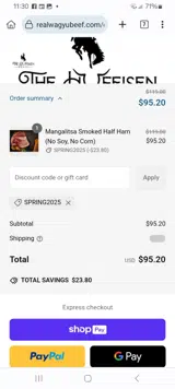 SPRING2025 coupon verification screenshot