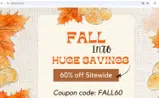 FALL60 coupon verification screenshot